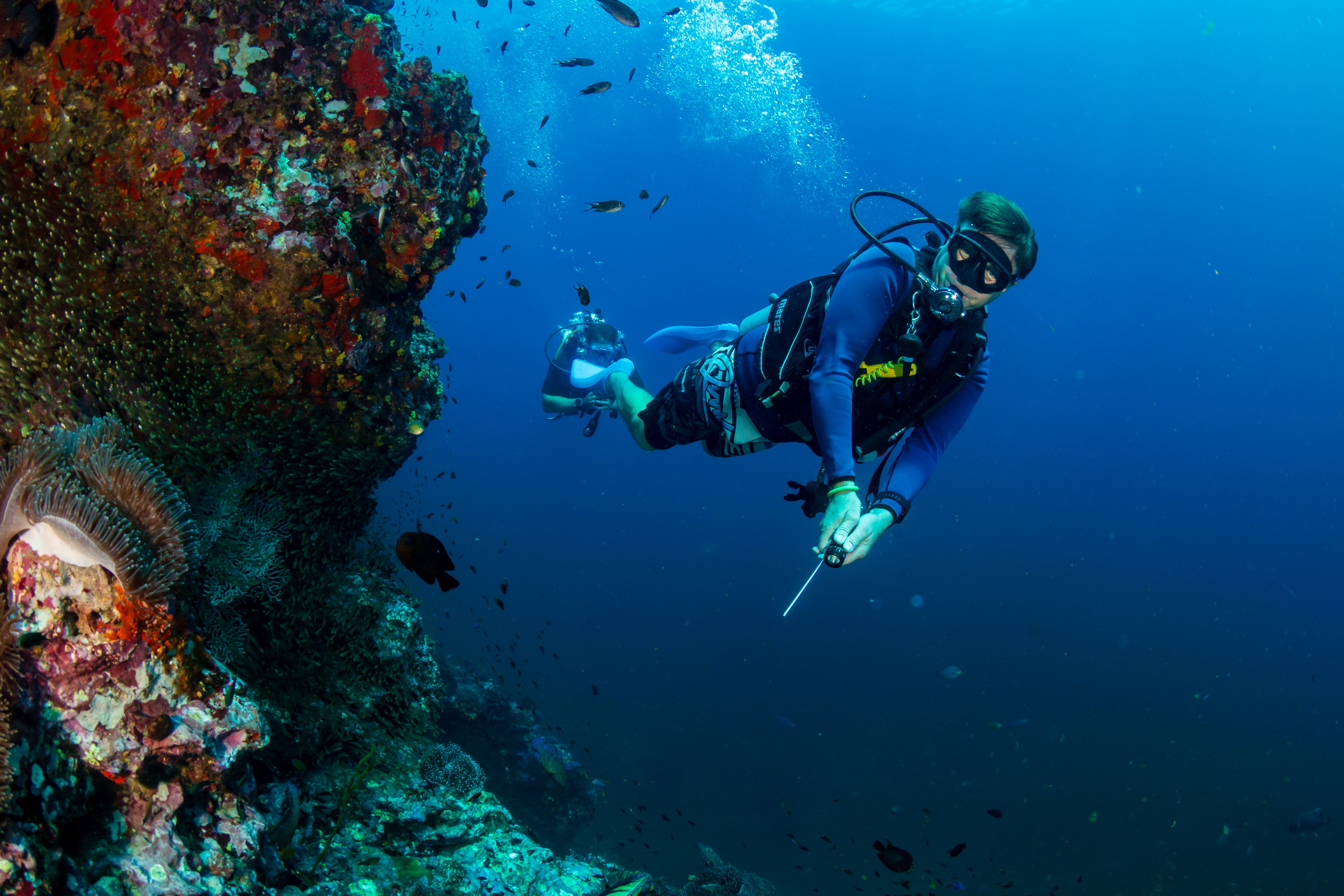 Scuba Steph: The Full Story Behind The Leaks - se4beim