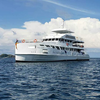 SUKELLUSSAFARI - 10 päivää/ 9 yötä - M/V ANDAMAN QUEEN - Phi Phi, Shark Point, Koh Haa, Hin Daeng, Hin Muang, Koh Lipe, Similan, Koh Bon, Tachai, Surin, Richelieu Rock (max 32 sukellusta)