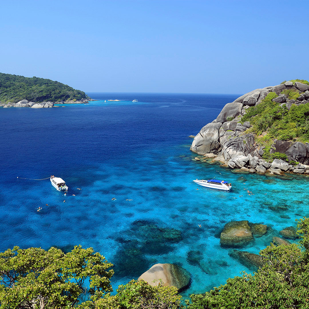 SIMILAN - Snorklaussafari ( Khao Lakista)