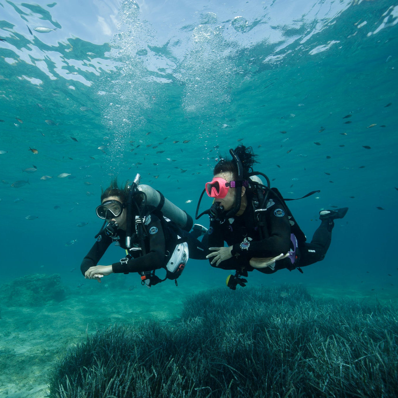 CHANIA - Sukelluskokeilu (Discover Scuba Diving)