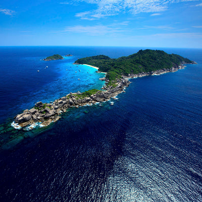 SIMILAN - Snorklaussafari ( Khao Lakista)